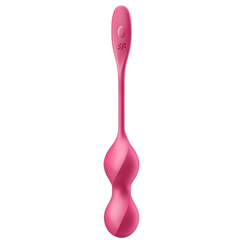 Satisfyer Love Birds 2 Connect App