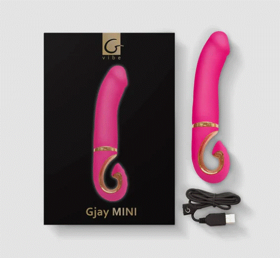 Gvibe Gjay MINI Wildberry