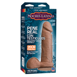 Noches Latinas Pene Real Con Testiculos Dildo-8 inch Brown