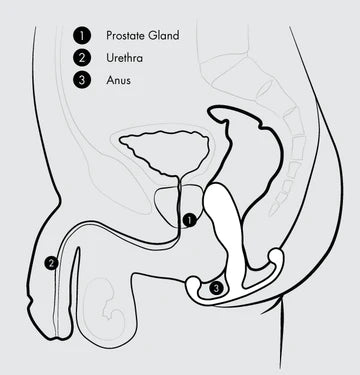 Aneros Trident Eupho Syn Male G-Spot Stimulator